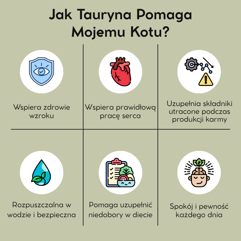 Tauryna Petnari Dla Kota