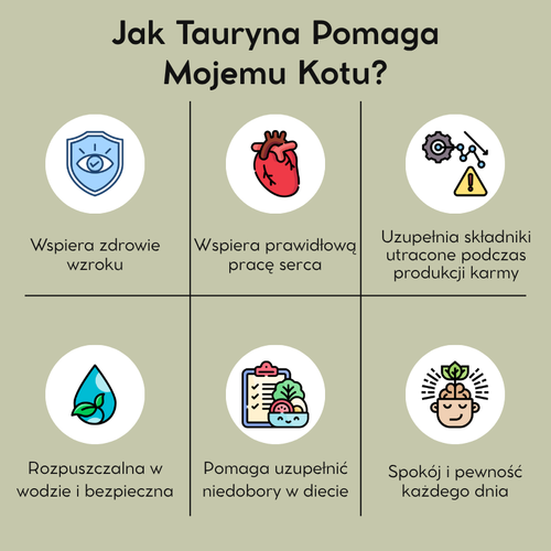 Tauryna Petnari Dla Kota